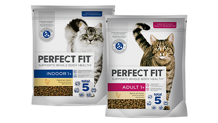 cat product image
