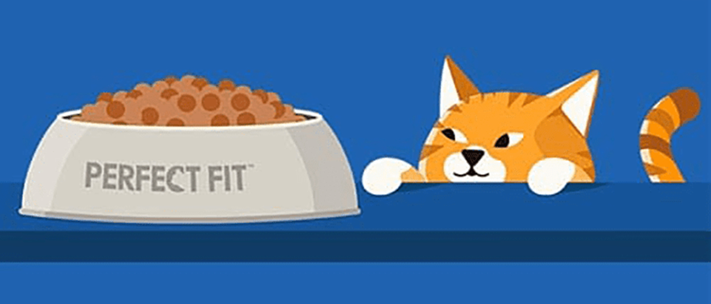 catnutrition-p_1614869726581.jpg