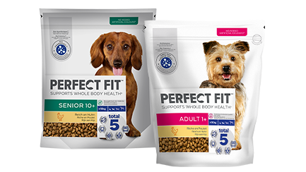dog product image