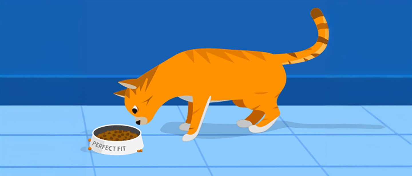 thumbnail_cat_infographic_1614413753837_1614872322491.jpg